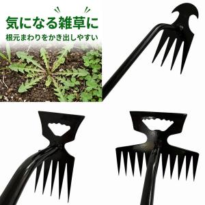 2個セット 草取りレーキ 2WAY 選べる 除...の詳細画像4