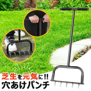 芝生 穴あけ エアレーション 10本釘 ローン...の詳細画像1