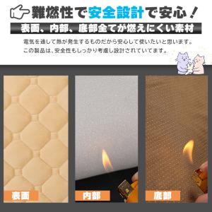 ホットクッション 電気座布団 USB 4カラー...の詳細画像5