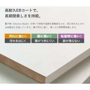 ランドリー可動棚セット 南海プライウッド LT...の詳細画像5
