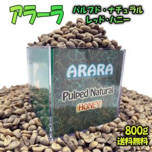 Arara - Pulped Natural アラーラ パルプド グアリロバ農園 フルーティー スペシャルティコーヒー 生豆 800g 未焙煎