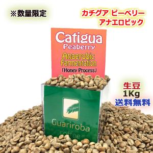 Catigua - Peaberry / Anaerobic Honey カチグア・ピーベリー嫌気性発酵ハニー グアリロバ農園 ナッティー スペシャルティコーヒー 生豆 1KG 未焙煎 送料無料