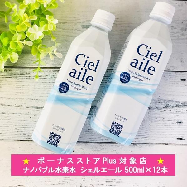 水 ナノバブル水素水 500ml 2ケース 12本 国内 ミネラルウォーター シェルエール