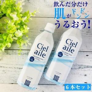 水 ナノバブル水素水 500ml 6本入 国内 ミネラルウォーター シェル