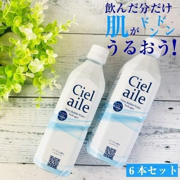 水 水素水 500ml 6本入 ナノバブル 国内 ミネラルウォーター シェルエール