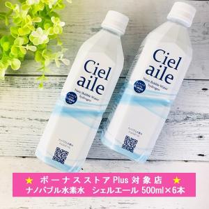 水 ナノバブル水素水 500ml 2ケース 12本 国内 ミネラルウォーター