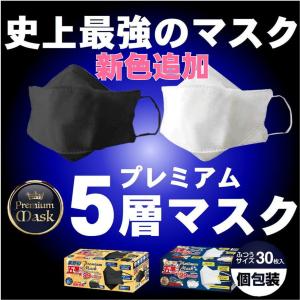 業界初 プレミアムマスク 五層構造 不織布 30枚 個別包装 ホワイト ブラック 白 3D 立体構造 使いきり  高密度五層構造 3D立体構造 ライラックアッシュ