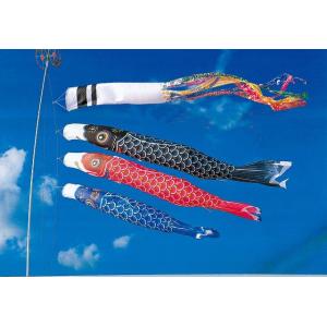 ナイロン鯉　6.0ｍ　単品