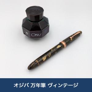 PILOT（パイロット） 木の温もりをショートサイズにした万年筆 LEGNO