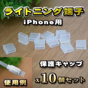 【端子キャップ】【ライトニング端子 iPhone用】 コネクター カバー 端子カバー 保護 カバーキャップ　カラー クリア 10個セット｜えぶりサービス