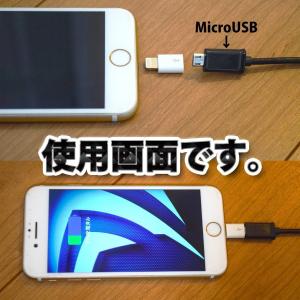 マイクロUSBケーブル → iPhone ライ...の詳細画像2