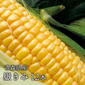青森県産 とうもろこし 嶽きみ 12本セット だけきみ トウモロコシ コーン お中元 ギフト 夏ギフト のし 青森産 まるで果物のような甘さ [同梱不可]
