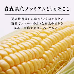 青森県産 とうもろこし 嶽きみ 12本セット ...の詳細画像1
