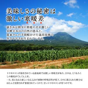 青森県産 とうもろこし 嶽きみ 12本セット ...の詳細画像2