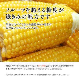 青森県産 とうもろこし 嶽きみ 12本セット ...の詳細画像3