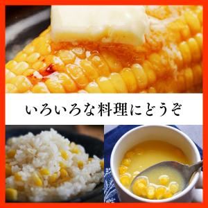 青森県産 とうもろこし 嶽きみ 12本セット ...の詳細画像5