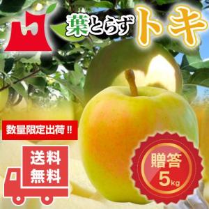 青森県産 葉とらず ふじ ご贈答用 約5kg (約14〜18個