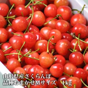 予約販売　山形県産 訳ありさくらんぼ(М玉1kg) 品種おまかせ　同梱不可　配達日指定不可　さくらんぼ　サクランボ　露地　産地直送　　