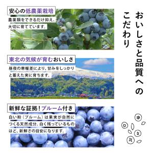 国産 冷凍ブルーベリー 約1kg × 3袋 合...の詳細画像3