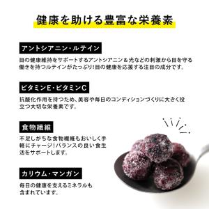 国産 冷凍ブルーベリー 約1kg × 3袋 合...の詳細画像4
