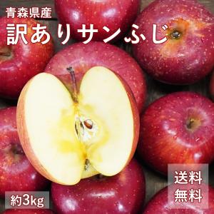 送料無料 青森県産 訳あり サンふじ ご家庭用約3kg 人気の訳ありリンゴ 家庭用 青森 青森産 訳あり サンふじ りんご 林檎 ふじ ks