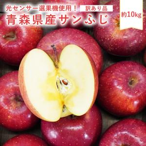 青森県産 葉とらず ふじ ご家庭用 約15kg (約42〜54個) 人気の訳あり