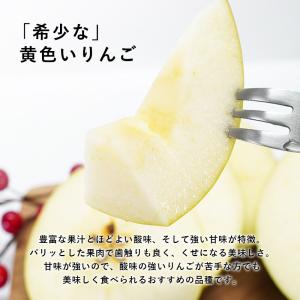 青森県産 訳あり ぐんま名月 ご家庭用約5kg...の詳細画像1