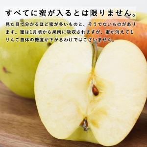 青森県産 訳あり ぐんま名月 ご家庭用約5kg...の詳細画像4