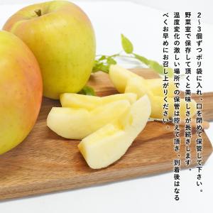 青森県産 訳あり ぐんま名月 ご家庭用約5kg...の詳細画像5