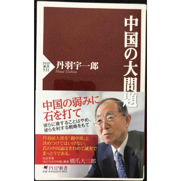 中国の大問題 (PHP新書)