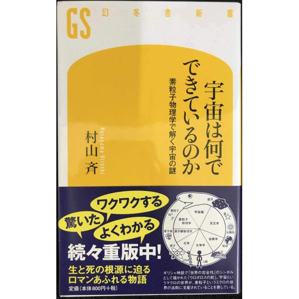 宇宙は何でできているのか (幻冬舎新書 む 2-1)