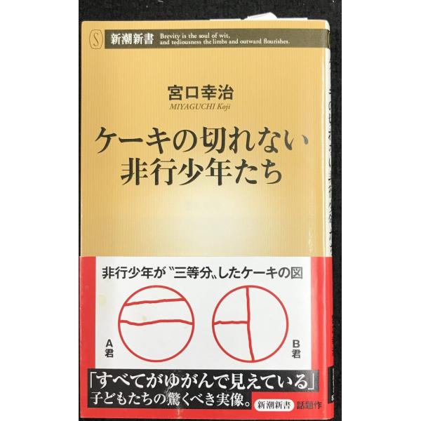 ケーキの切れない非行少年たち (新潮新書)