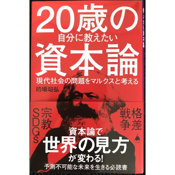 20歳の自分に教えたい資本論 現代社会の問題をマルクスと考える (SB新書)