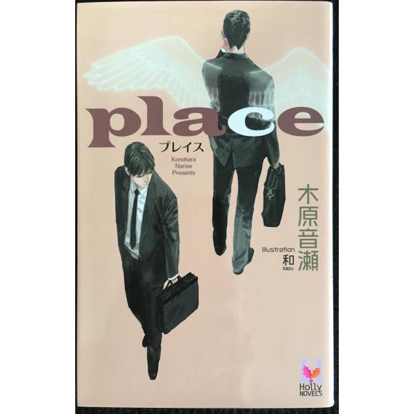 place (Holly NOVELS)