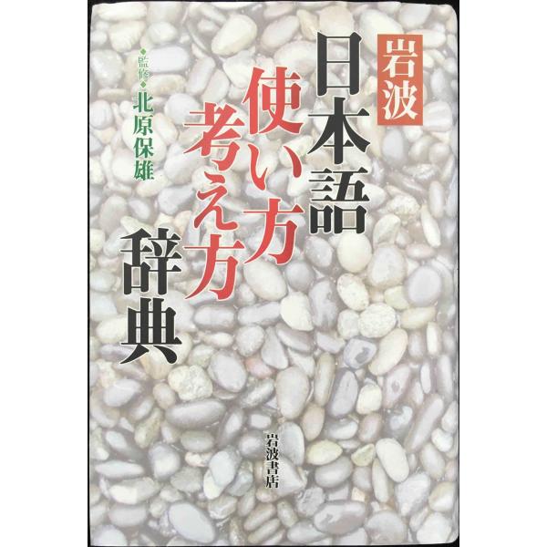岩波 日本語使い方考え方辞典 単行本