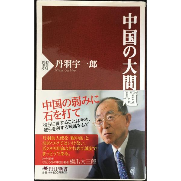 中国の大問題 (PHP新書)