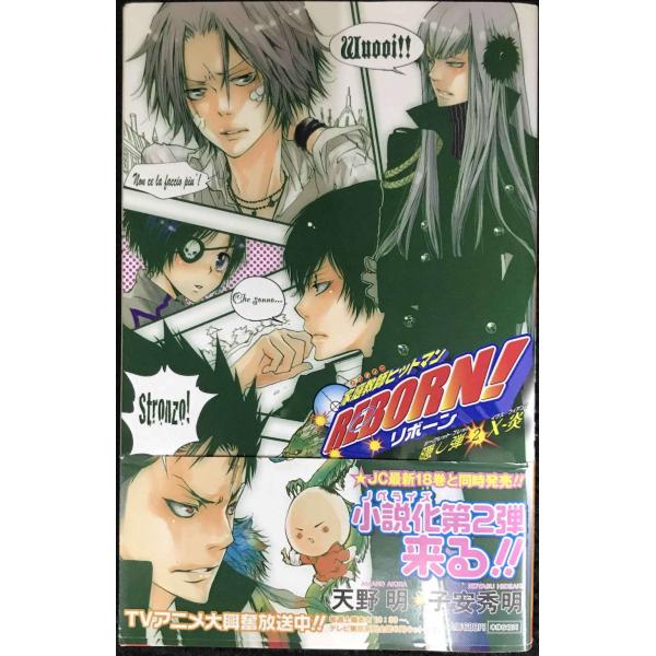 家庭教師ヒットマンREBORN! 隠し弾2 X-炎 (JUMP j BOOKS)