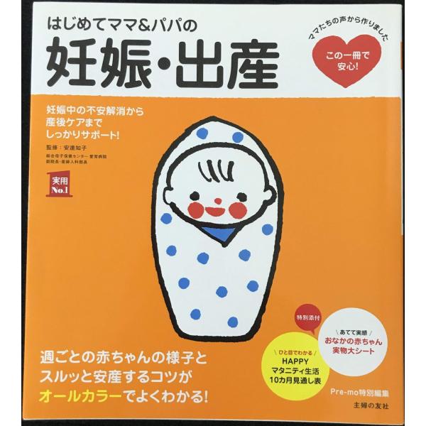 はじめてママ&amp;パパの妊娠・出産 (実用No.1シリーズ)
