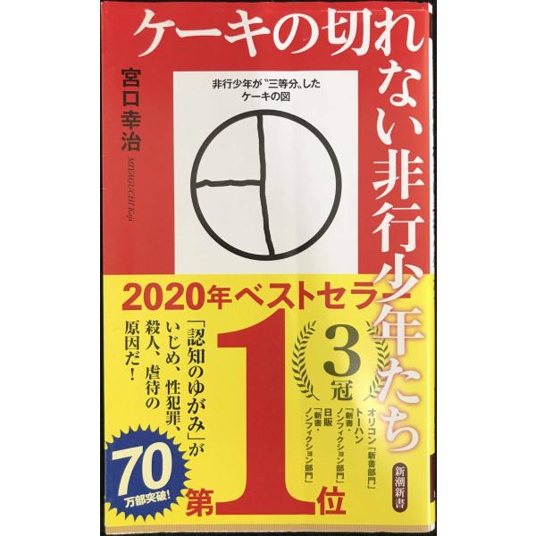ケーキの切れない非行少年たち (新潮新書)