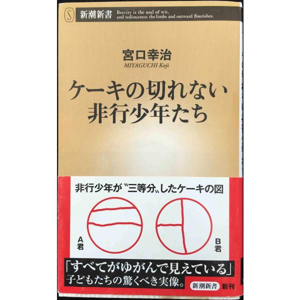 ケーキの切れない非行少年たち (新潮新書)
