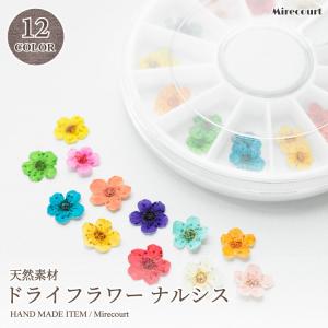 かすみ草 咲いた花 ドライフラワー レジン ハンドメイド用 12マス