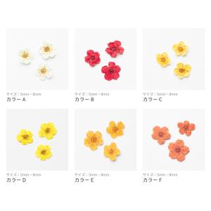 【全12色】天然素材 ドライフラワーナルシス ...の詳細画像3