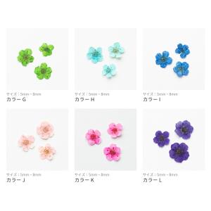 【全12色】天然素材 ドライフラワーナルシス ...の詳細画像4
