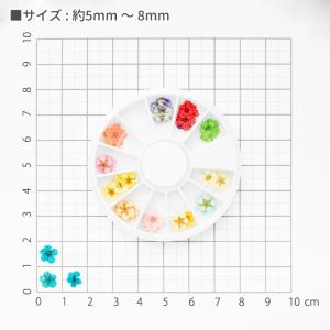 【全12色】天然素材 ドライフラワーナルシス ...の詳細画像5
