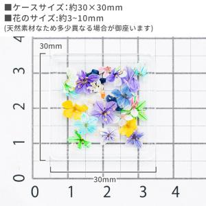 【全1色】ドライフラワーMIX フラワーアソー...の詳細画像5