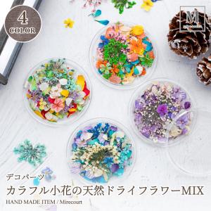 【全4色セット】カラフル小花の天然ドライフラワーMIX (4種セット/各カラー1個入) レジン・ネイル 花材 ハーバリウム 本物の花素材 押し花風パーツ ミニフラワー