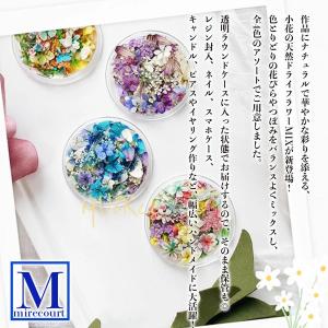 【全4色セット】カラフル小花の天然ドライフラワ...の詳細画像2