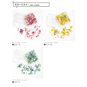 【全3色】小花の天然ドライフラワーMIX (1...の詳細画像3