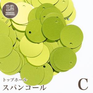 トップホール Cグループ (約5g入)　刺繍　スパンコールアクセサリー　スパンコール刺繍