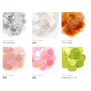 【12mm】トップホール Cグループ (約5g...の詳細画像1